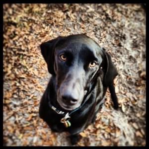 Meet your Posher, Jayme